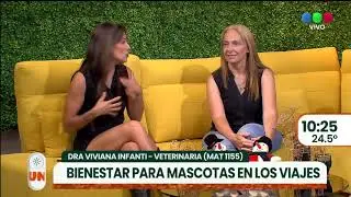 Bienestar para mascotas en los viajes ► TELEFE ROSARIO