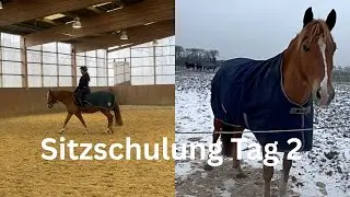 Sitzschulung & Dressur: Meine größten Aha-Momente (Tag 2)