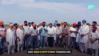 Flood affected farmland rehabilitation in Punjab #Punjab #floods #punjabfloods2025 