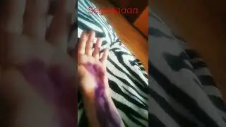 seeeeega SEGA
