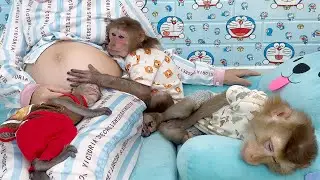 Monkey Asher hugs Mom's pregnant belly and sleeps