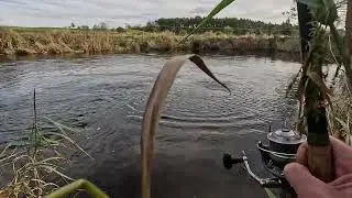 Salmon fishing 5lb grilse on worm river cairn october 2025