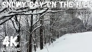 The hill is covered with snow | Cold video of snowfall in 4K UHD for a warm homely mood