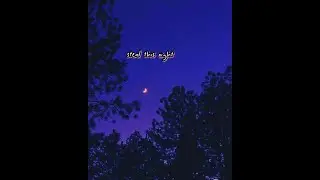 steal this night (Official Music Video)