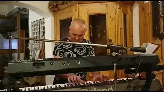 D'animos Band - Struggle for pleasure
