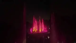 Mysore diaries $$$