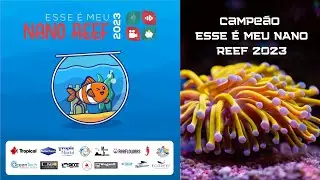 Resultado do Concurso - Esse é meu Nano Reef 2023