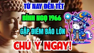 Sự Thật Đáng Sợ Chỉ Tôi Dám Nói: Bính Ngọ 1966 Từ Nay Đến Tết Âm Lịch, Muộn 1 Bước Là Lỡ Cả Đời
