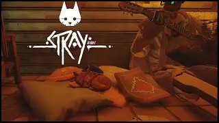 ONE HOUR OF Stray - Stray Lets Play #1 / Stray No Commentary / Stray Gameplay No Commentary