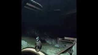 Jumpscare #switchback #vr