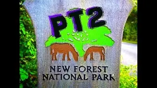 phil480 new forest ride pt2
