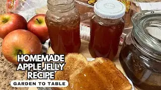 Create AMAZING Apple Jelly Right in Your KITCHEN! | Apple Extravaganza