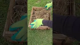 C&oacute;mo hacer una minicompostera con una caja de madera #agricultura #plantas