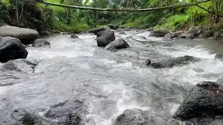 Relaxing River Flow with Water Sounds in a Peaceful ASMR | For Sleeping & Meditation #River #ASMR