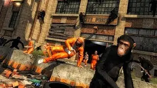 Apes Revenge (by Toucan Games 3D) Android Gameplay #1 | Dishoomgameplay
