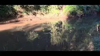 Fieldwork: River study location