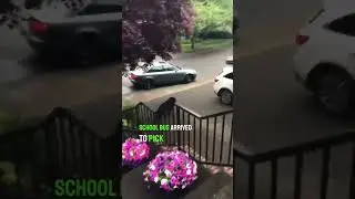 Эта собака ездит в школу на автобусе 😂👏