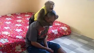 Little Jason Energetic Grip Provoke Dad To Surrender