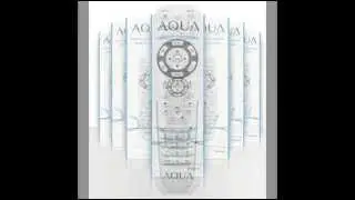 Aqua universal waterproof remote Evervue