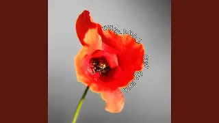 Interm&egrave;de
