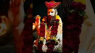 देव माझा बाजीबाबा 🙏🏻#youtubeshorts #youtube #shortvideo #viral #viralshort #trending #new #views