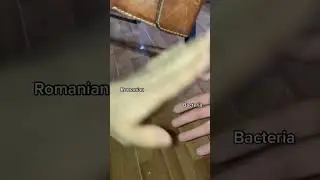 Romanian vs bacteria catching a falling wallet #shorts #romania #meme #wallet #funny