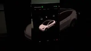 How to get back the Tesla blindspot camera if you accidentally closed it?