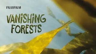 Vanishing Forests | Official Documentary Short | Fujifilm X-H2S
