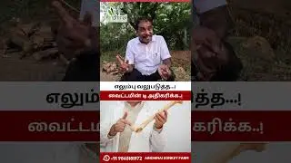 எலும்பு பலம் பெற கழுதை பால் 🦴🐴 | Donkey Milk Health Benefits | Aindhinai Farm Tamil #shorts