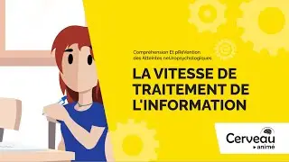 La vitesse de traitement de l'information - Cerveau anim&eacute; volet 12-17 ans