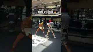 Elite Boxing Sparring | Pro Level Speed, Power & Reflex 🥊🔥 #boxing #boxinglife #boxingtraining