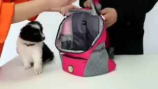 On The Go Outdoor Small Dog Backpack Pet Puppy Carrier Mesh Bag
