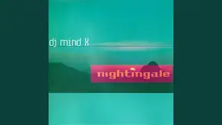 Nightingale (Original Airplay Mix)