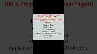 Boosting Peanut Yields: Discover the Power of RAPHA-groW in Action! Field Trials Video 3
