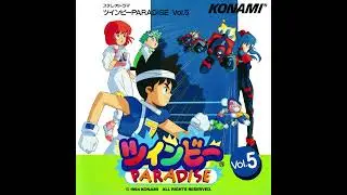 Twin memories