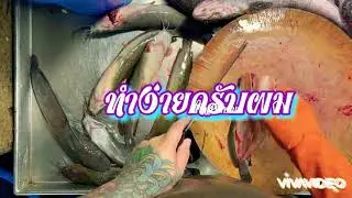 มาสอนวิธีแล่ปลาดุกแดดเดียวนะครับผม🙏😊