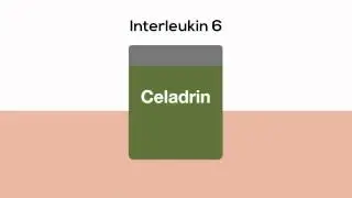 HealthKey.tv | Joint Mobility| Celadrin and Joint Support