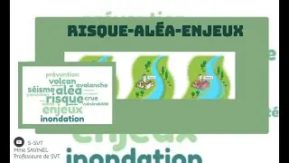 risque al&eacute;a et enjeux
