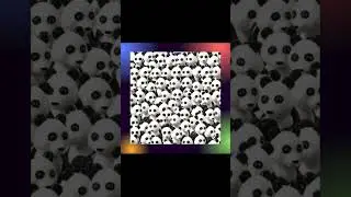 Test your attention