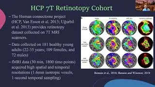Quantitative Characterization of the Human Retinotopic Map Based on Quasiconformal Mapping