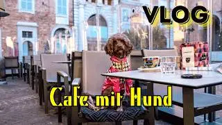 Cappuccino, Fotoshooting & Strand in Senigallia 🇮🇹☕🐾 | Hunde Vlog 2