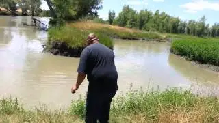 River monster's carp, catfish double hookup