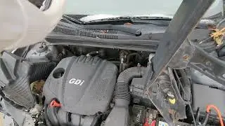 44373