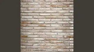 Fungqi