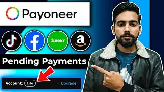 TikTok Withdrawal Payments Pending In Payoneer | Payoneer Lite Update 2025