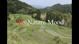 4K/Japanese rural scene in June. Natural sound. Landscape with a good view.Fresh green.