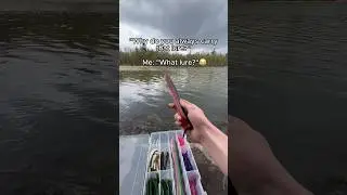 Calling that a lure is crazy 💀🎣