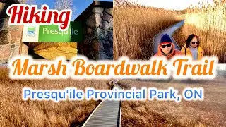 Hiking on the Marsh Boardwalk Trail in Presqu'ile Provincial Park, Ontario, Canada