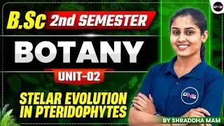 BSc 2nd Semester Botany | Stelar Evolution in Pteridophytes | BSc Botany 2nd Sem Unit-2 | #BScBotany