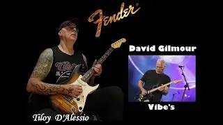 Fender Stratocaster Custom (Dan Smith) ... David Gilmour Vibe's